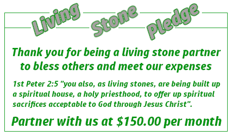 Living Stone Pledge